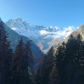 Ver fotos