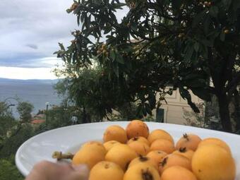 Ver fotos