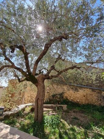 Apartamento Borgo Donna Teresa