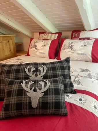 Chalet Monte Bianco
