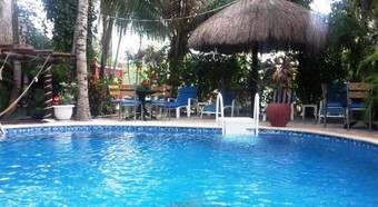 Ver fotos
