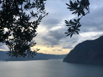Apartamento Appartamento Con Vista Sul Lago Di Iseo E Piscina