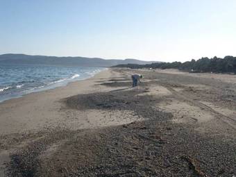 Motel Seal Rock