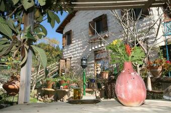 ????- ??? ????