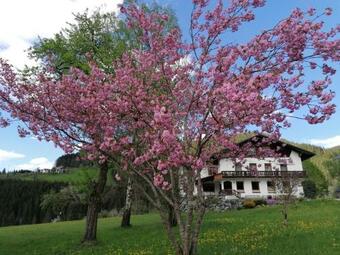 Agroturismo Sinsamreith, Familie Ensmann