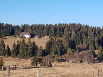 Hostal Pension Helena Honesov�