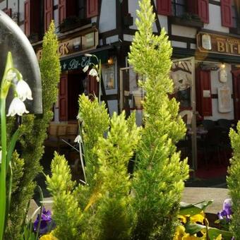 Hostal Bit-eck