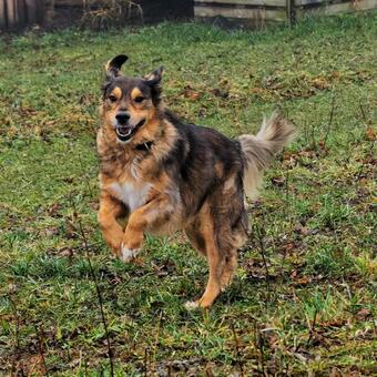 Apartamento Hi?a Lenart