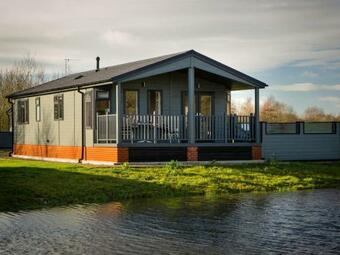 Silver Birch - Ukc4529