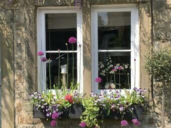 Wisteria Cottage