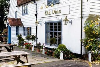 Bed & Breakfast The Old Vine Inn
