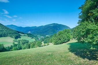 Hotel Pachler