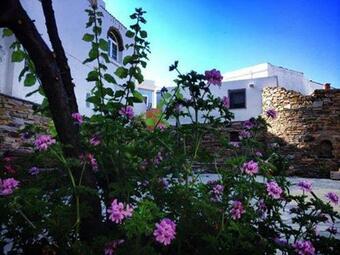 Antonis House