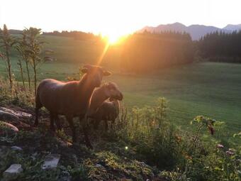 Ver fotos
