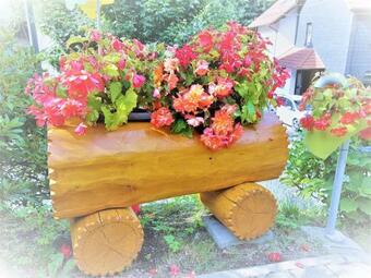 Ver fotos