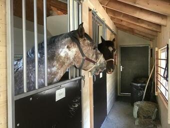 Wild Life Ranch