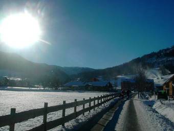 Haus B�hm