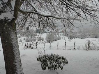 Abri De Jardin