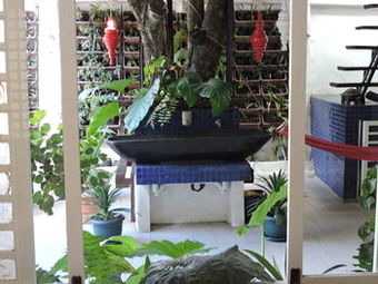 Bed & Breakfast Orange Mangrove Pension House