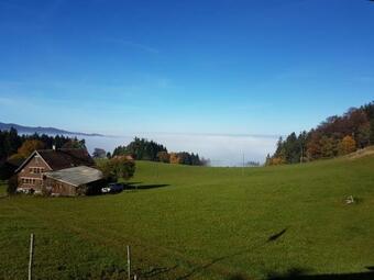 Bodenseeblick