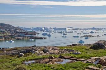 Hotel Arctic
