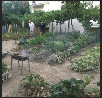 Ver fotos