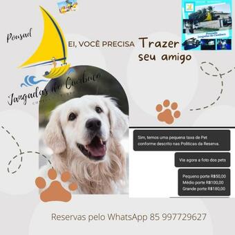 Ver fotos