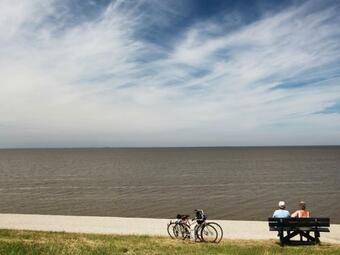 Nice Villa In Wieringer Style Near The Wadden Sea