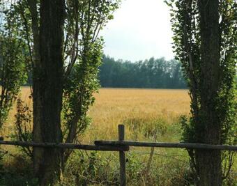 Safaritent Bij Pipowagen En Kampeerhoeve S Gravenhof