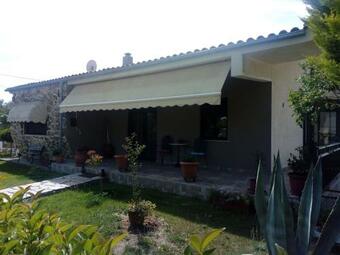 Stella