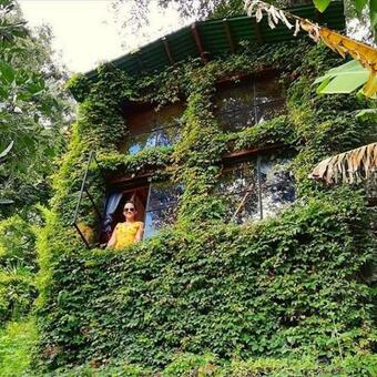 Hotel Earth Lodge