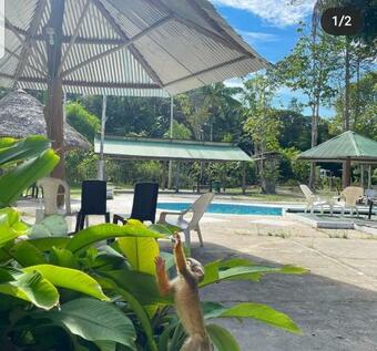 Ver fotos