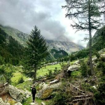 Apartamento Les Combins � Voll�ges-verbier Appt 8 Pers