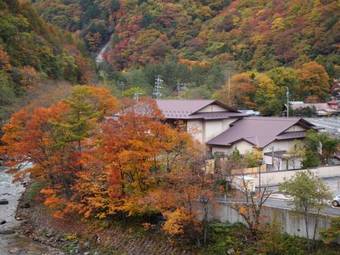 Keiryu-so Shiorie