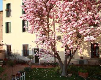 B&B La Magnolia