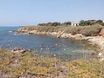 Bed & Breakfast Il Varo A Mare