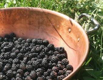 Agroturismo Agriturismo Le Radici