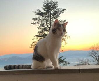 La Terrazzina