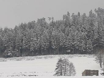 Le Rep�re Des Hirondelles