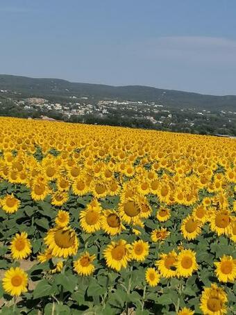 La Chamade Maison De Village Climatis�e
