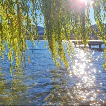 Al Lago Guest House