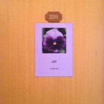 Hotel I Pini