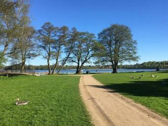 Good Morning Lyngby