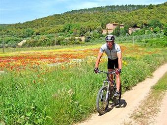 Aluna Resort Parad� Tuscany