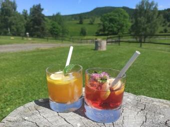 Hostal Farma Hvozd