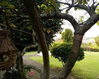 Casa De S�o Braz
