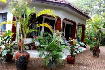 Ango Tree Hotel