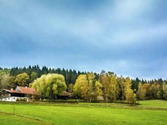 Cozy Holiday Home In Konzell With Terrace
