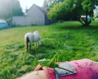 Maison De Campagne Dans Village De Nature
