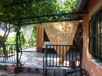 Villa Il Vigneto